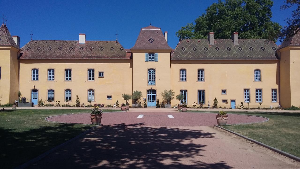 Chateau D'Origny, Chambres D'Hotes Et Restaurant Gastronomique Ouches エクステリア 写真